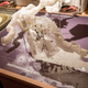 Illustration for article titled Flywheel Landscapes, Race Car Tech, and 3D-Printed Urban Caves